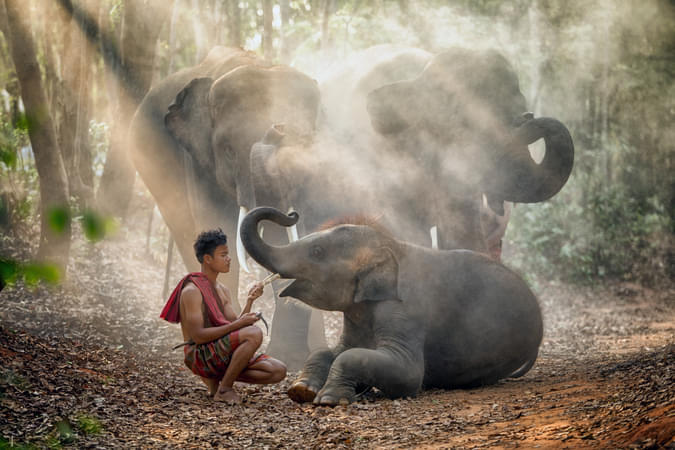 W8hkmy09ahe5twe33gprwe1ru26c 1595483449 shutterstock 1061152892