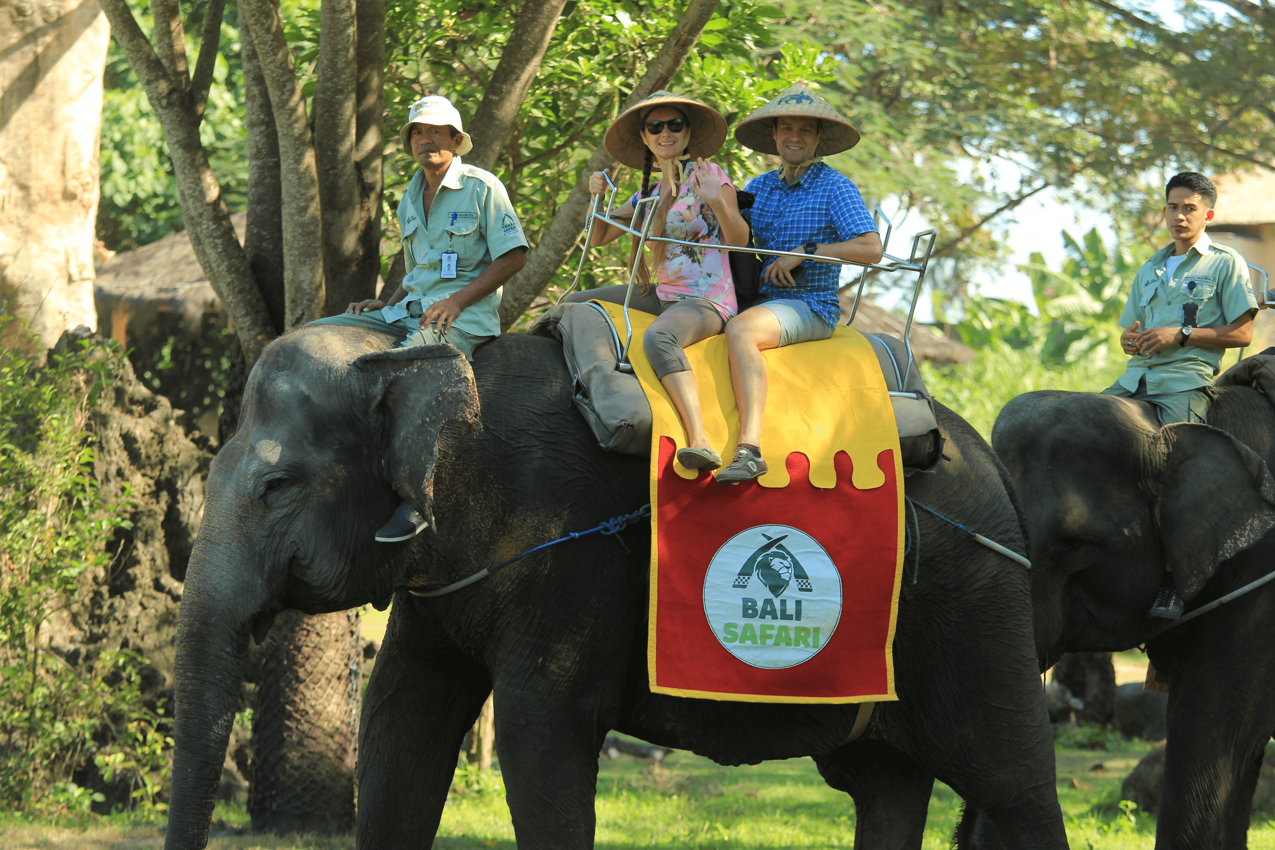 Why Does Wildlife Matters? - Taman Safari Bali