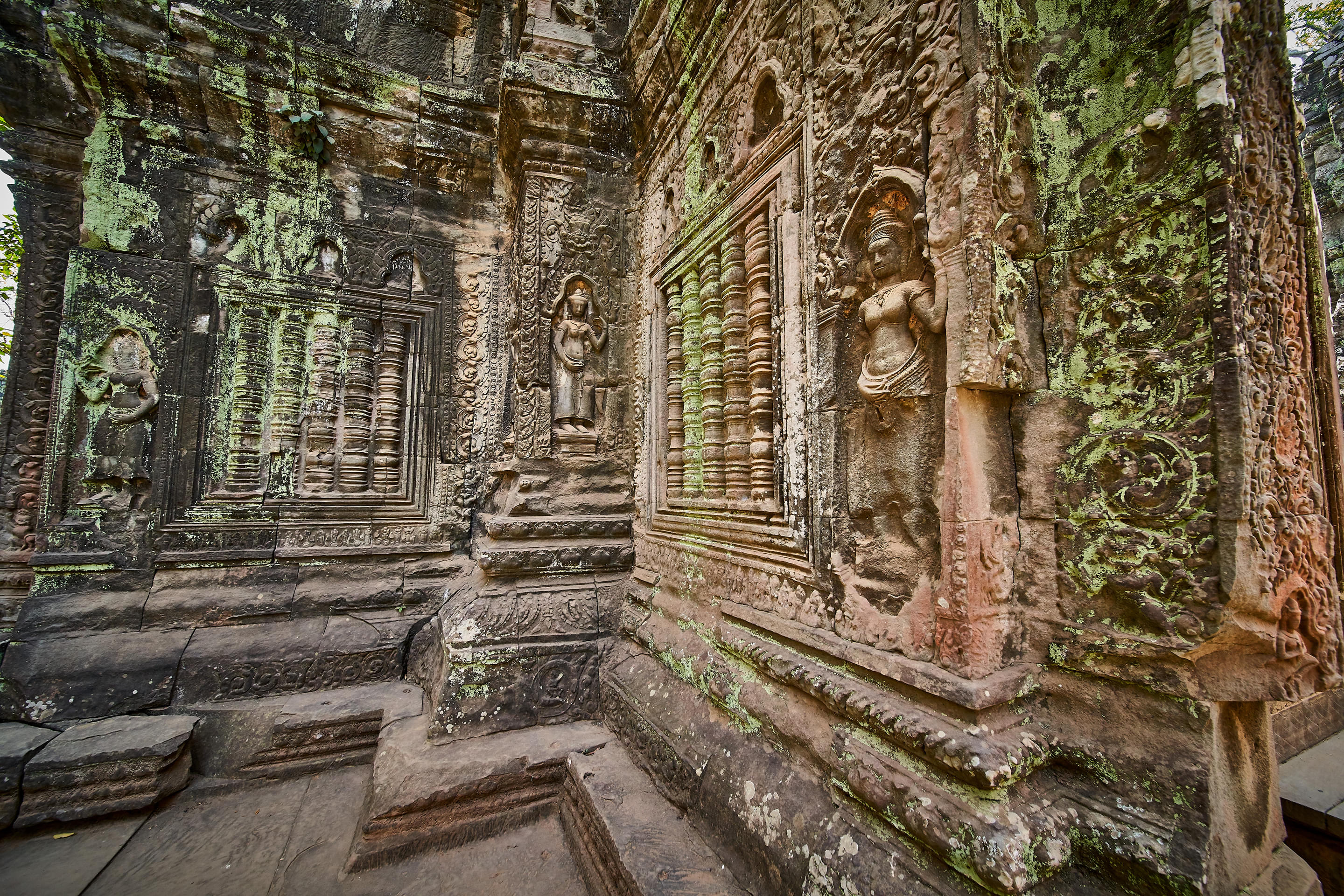 Ta Prohm Temple Overview