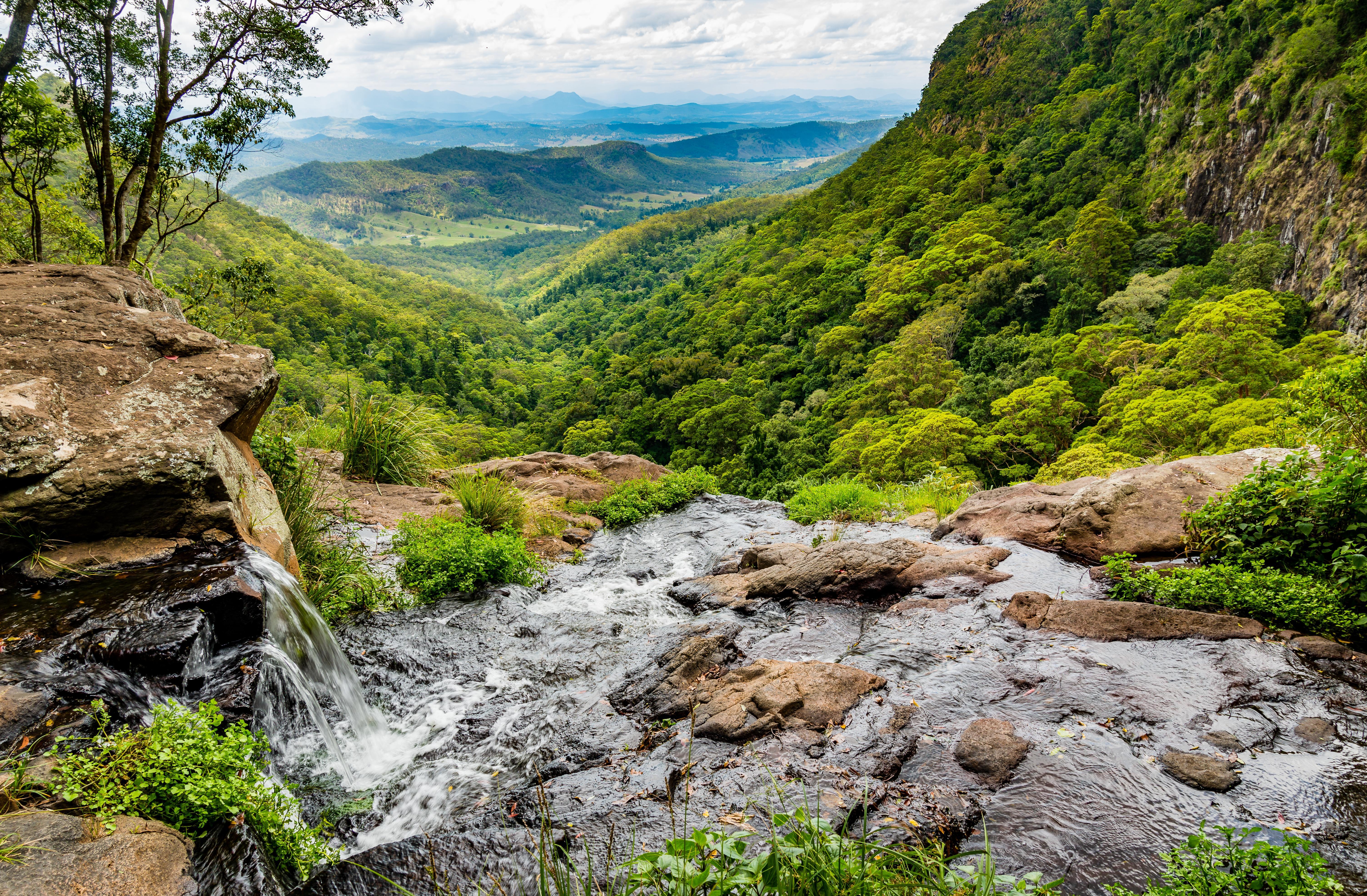 Lamington National Park