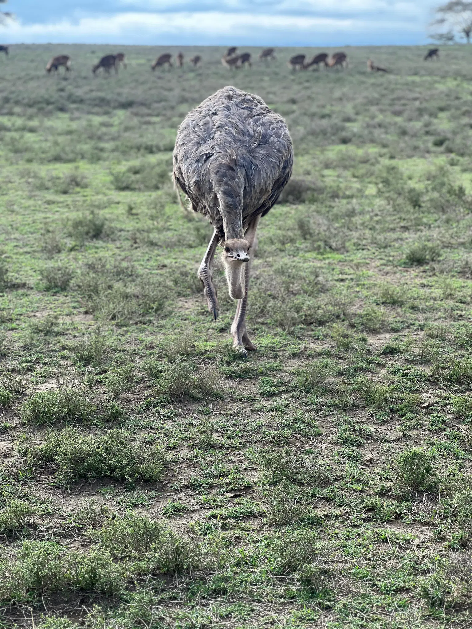 Photo from Siddhi Borkar's trip