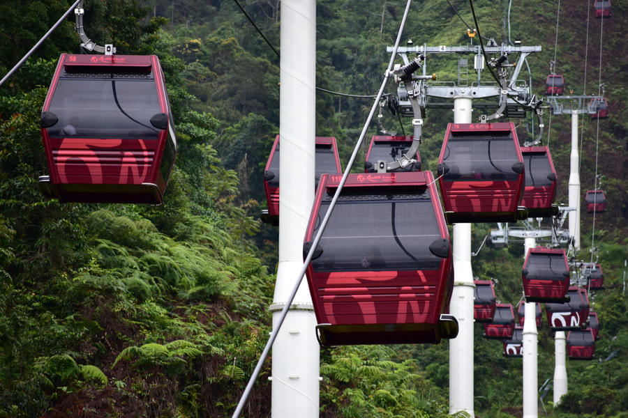 Soar above the treetops and immerse yourself in the beauty of Genting Highlands