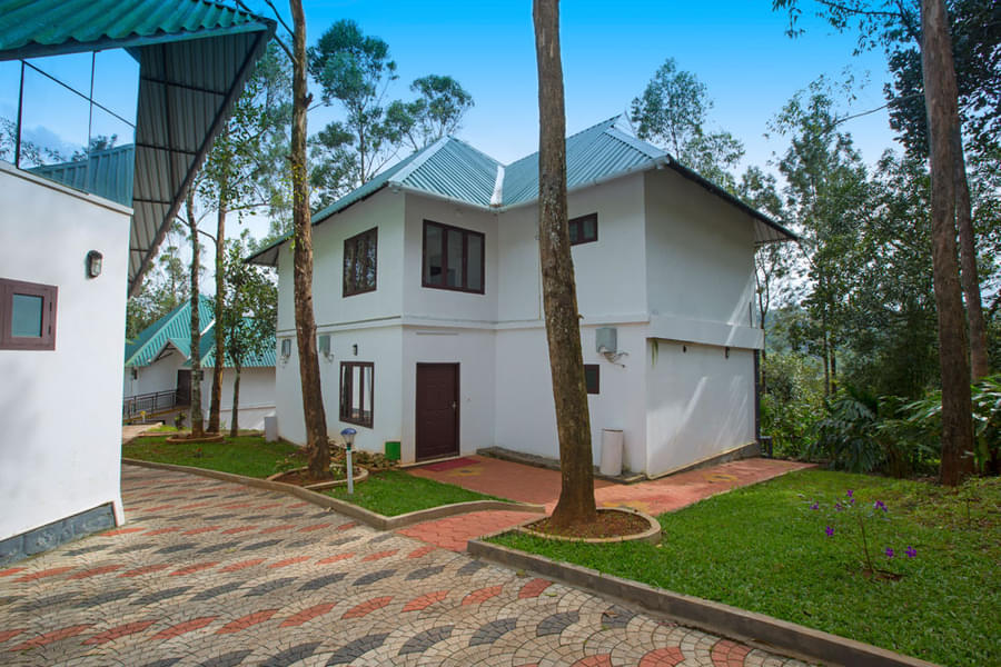 A Getaway amidst the Misty Landscapes of Munnar Image