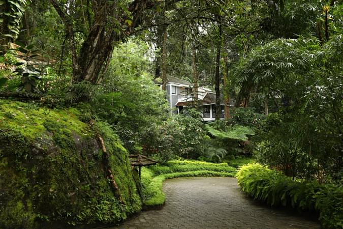 One of the most nature friendly properties in Munnar