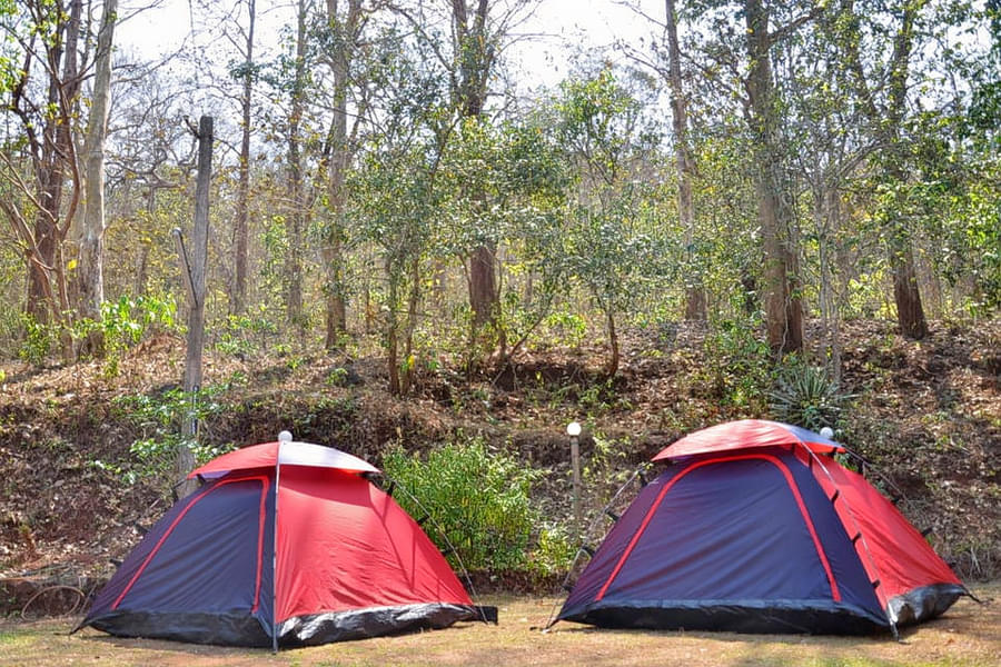Dandeli Nature Camp Image