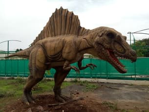 Wb4gqhcboplm2zbx5kpcdygi3whb ready to tear