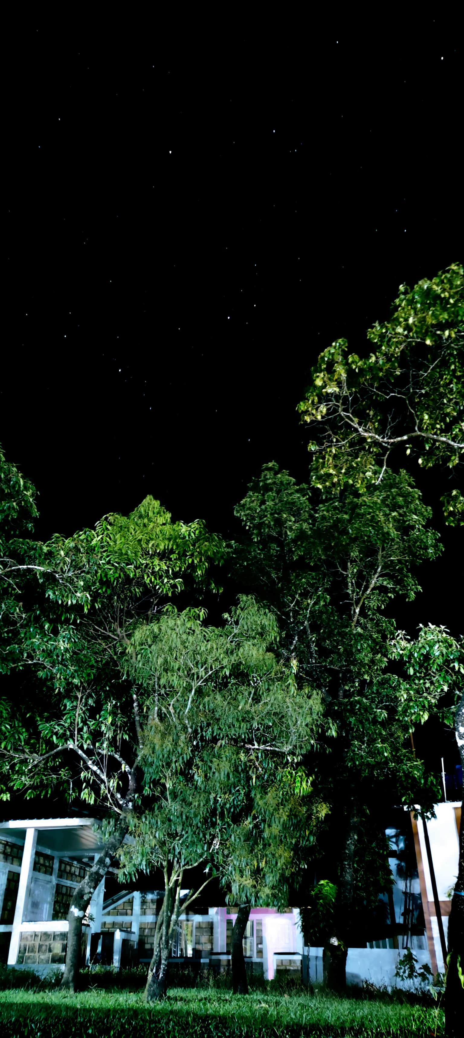Photo from Prateek Kumar Pallai's trip
