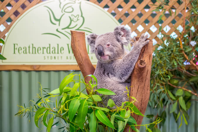 Featherdale Wildlife Park