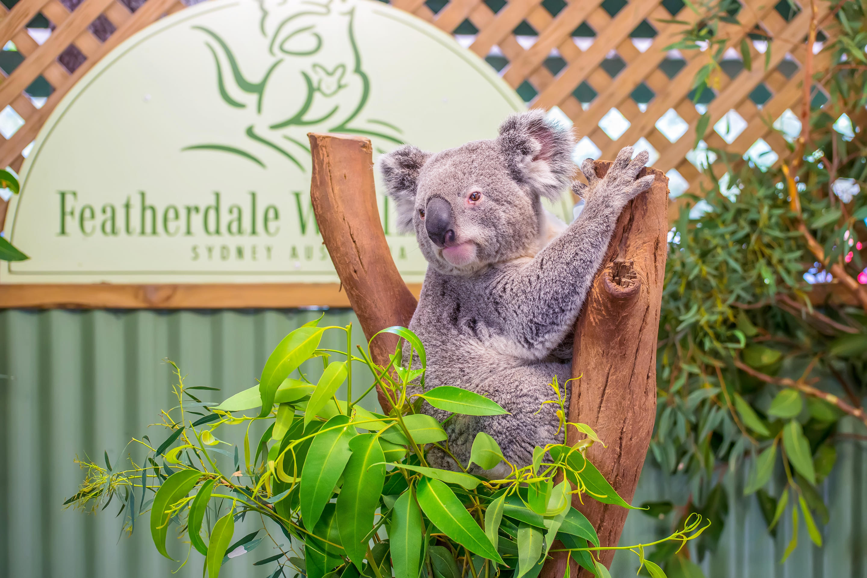 Featherdale Wildlife Park Overview