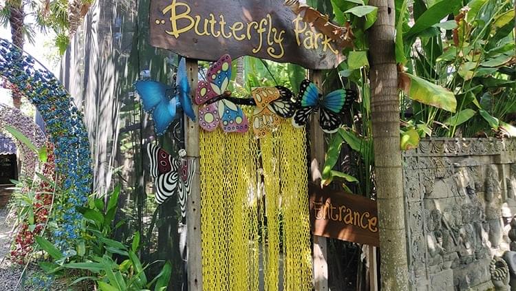 Explore the butterfly park