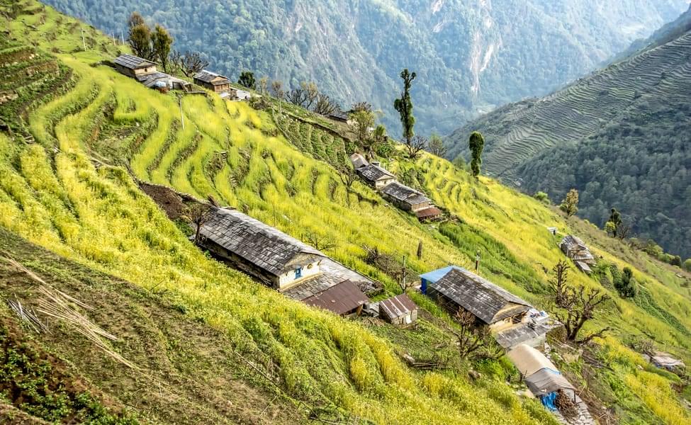 Hiking is the answer.  Who cares what the question is - Ghandruk Village 