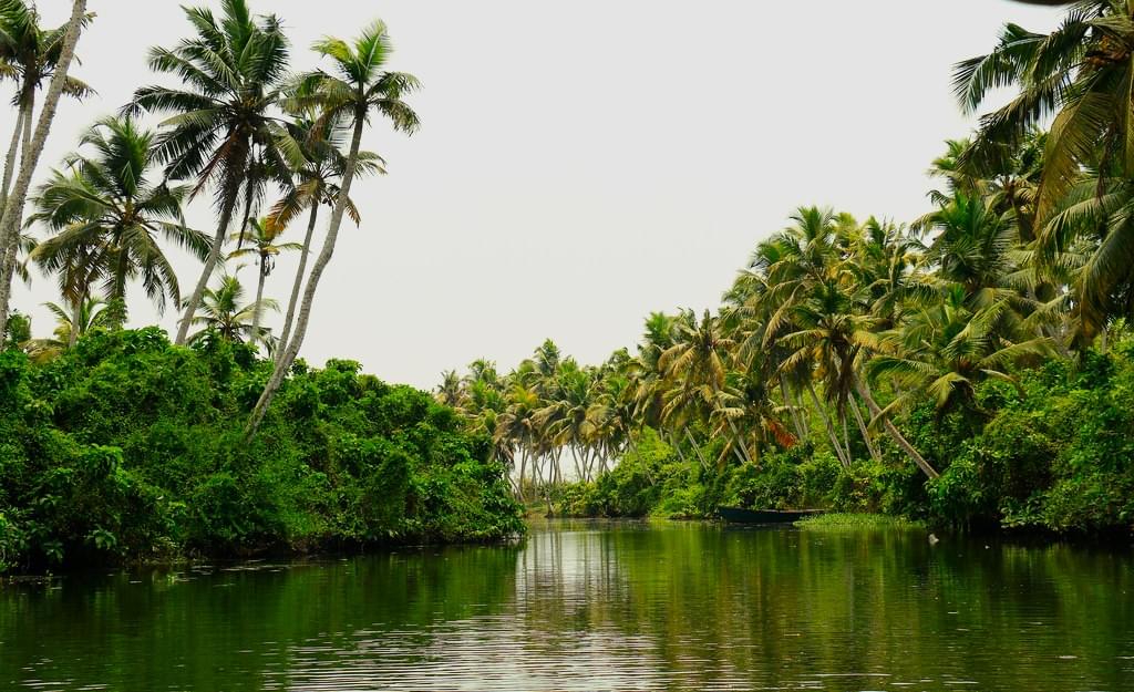 Neyyar River Overview