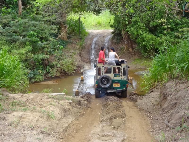 Jeep Safari In Pobitra Wildlife Sanctuary  Image