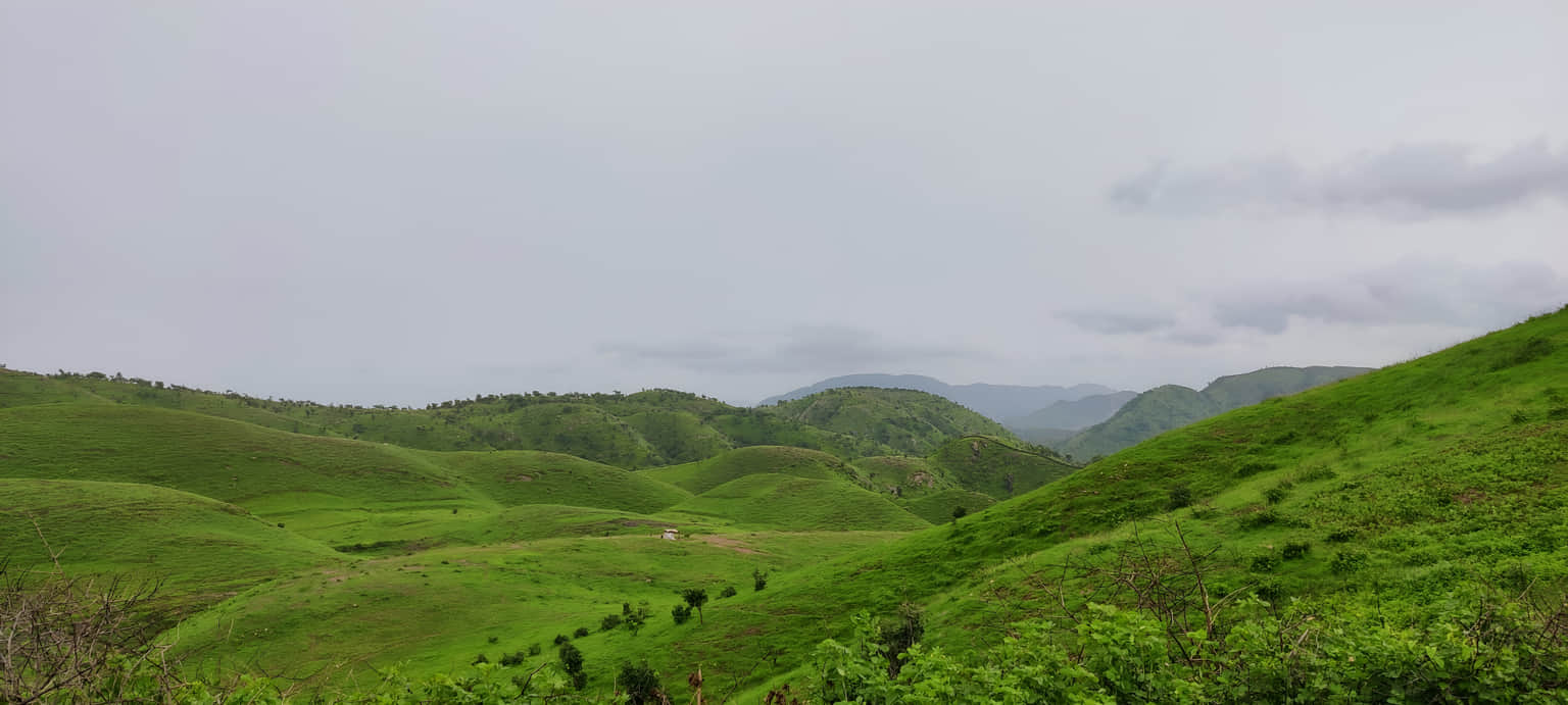 Rayta Hills, <em>Udaipur</em>