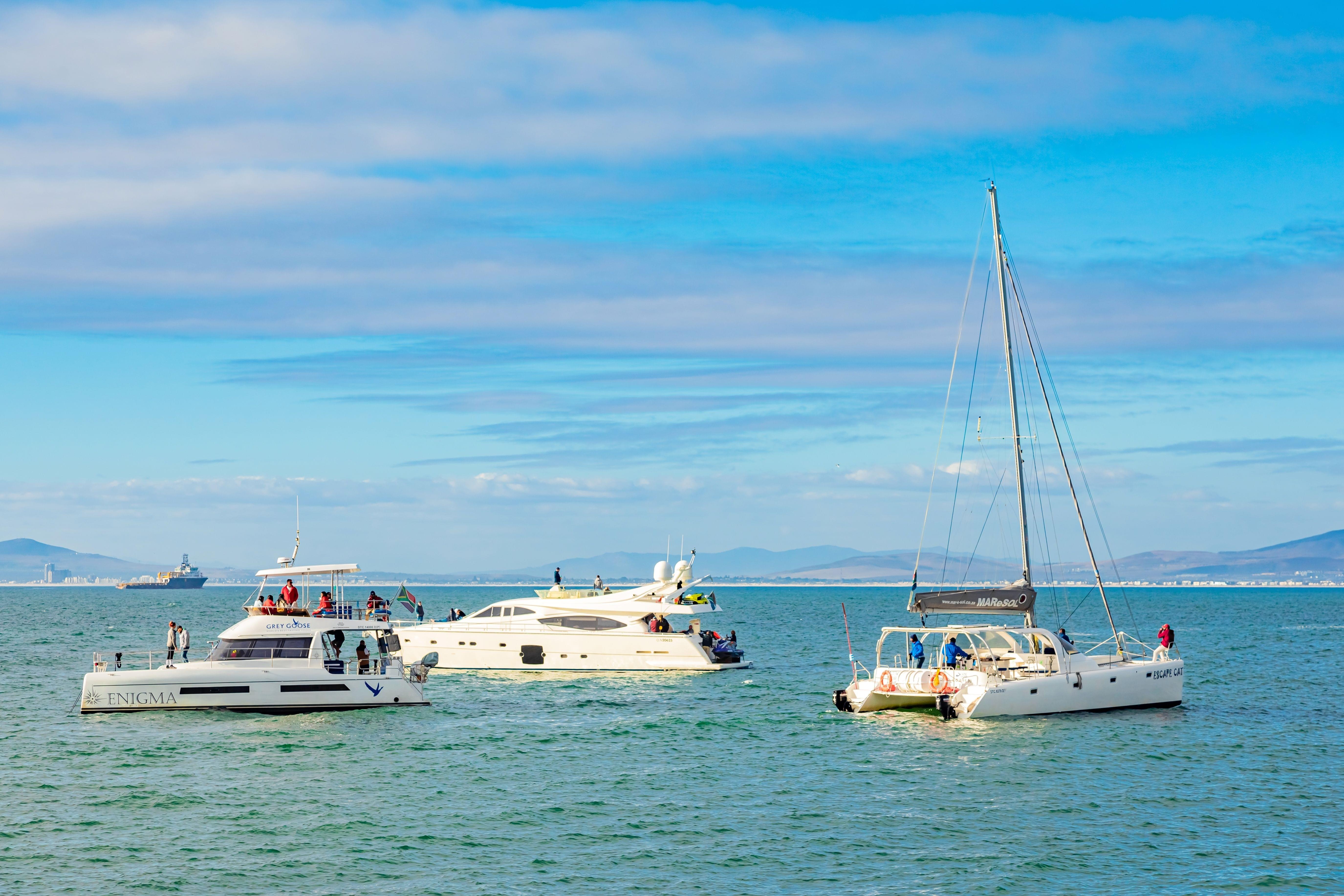 Boat Cruise Cape Town