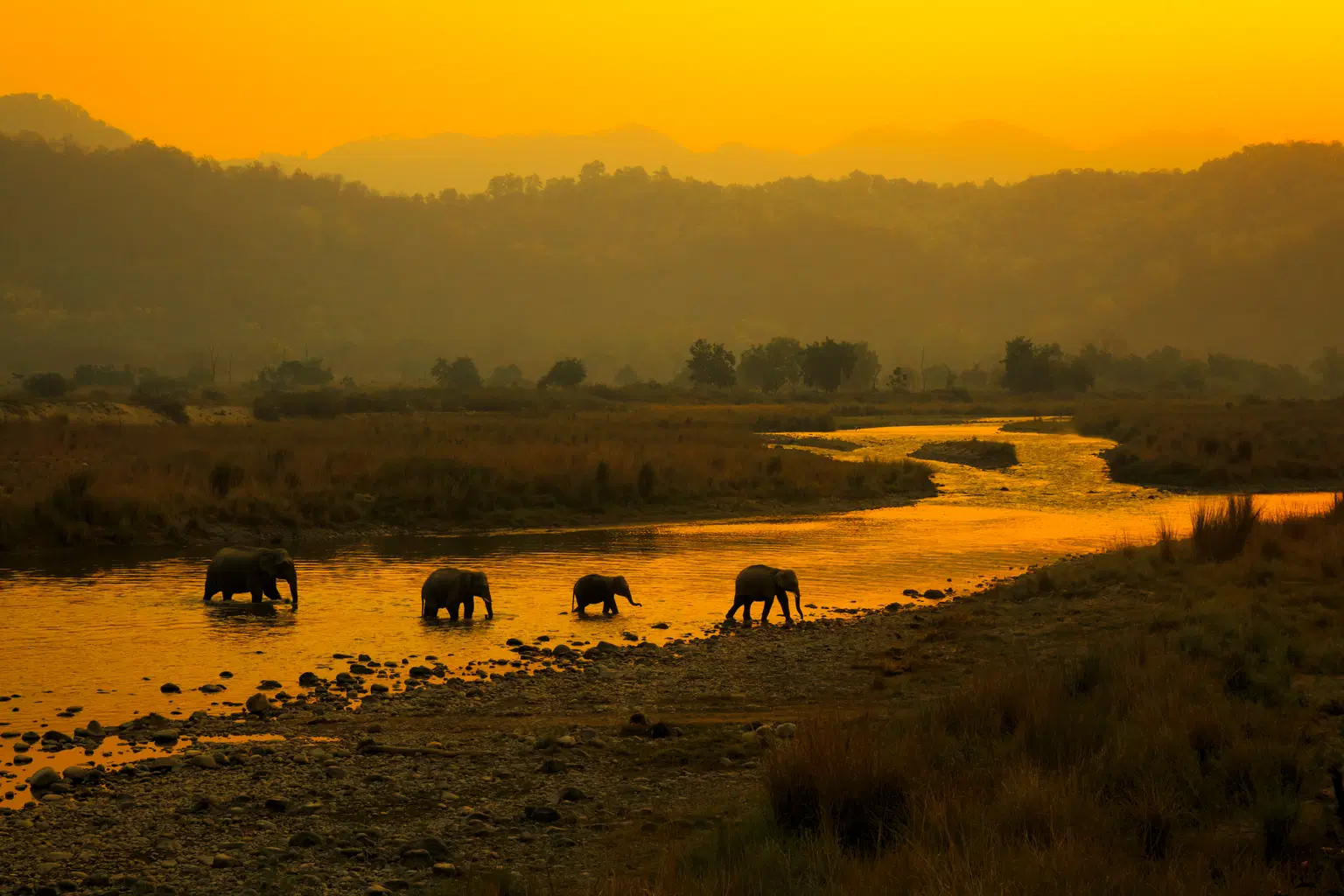 <em>Jim Corbett</em> Tour Packages From Nagpur 