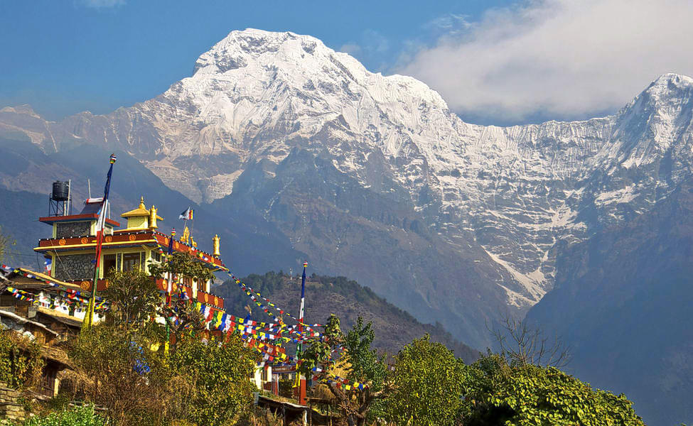 8 Days Best Selling Nepal Tour Package  Image