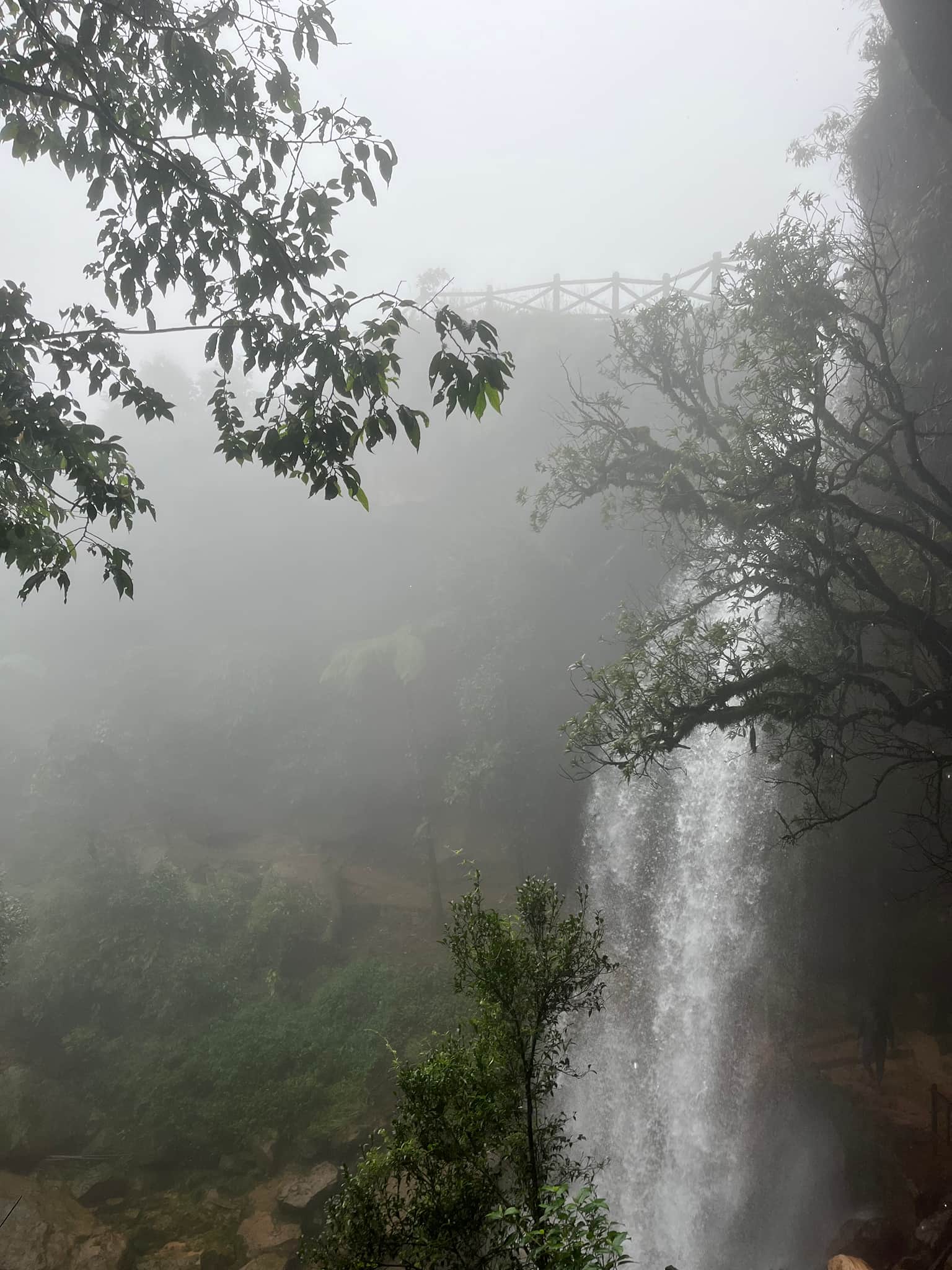 Photo from PRAJAKTA BHADKE's trip
