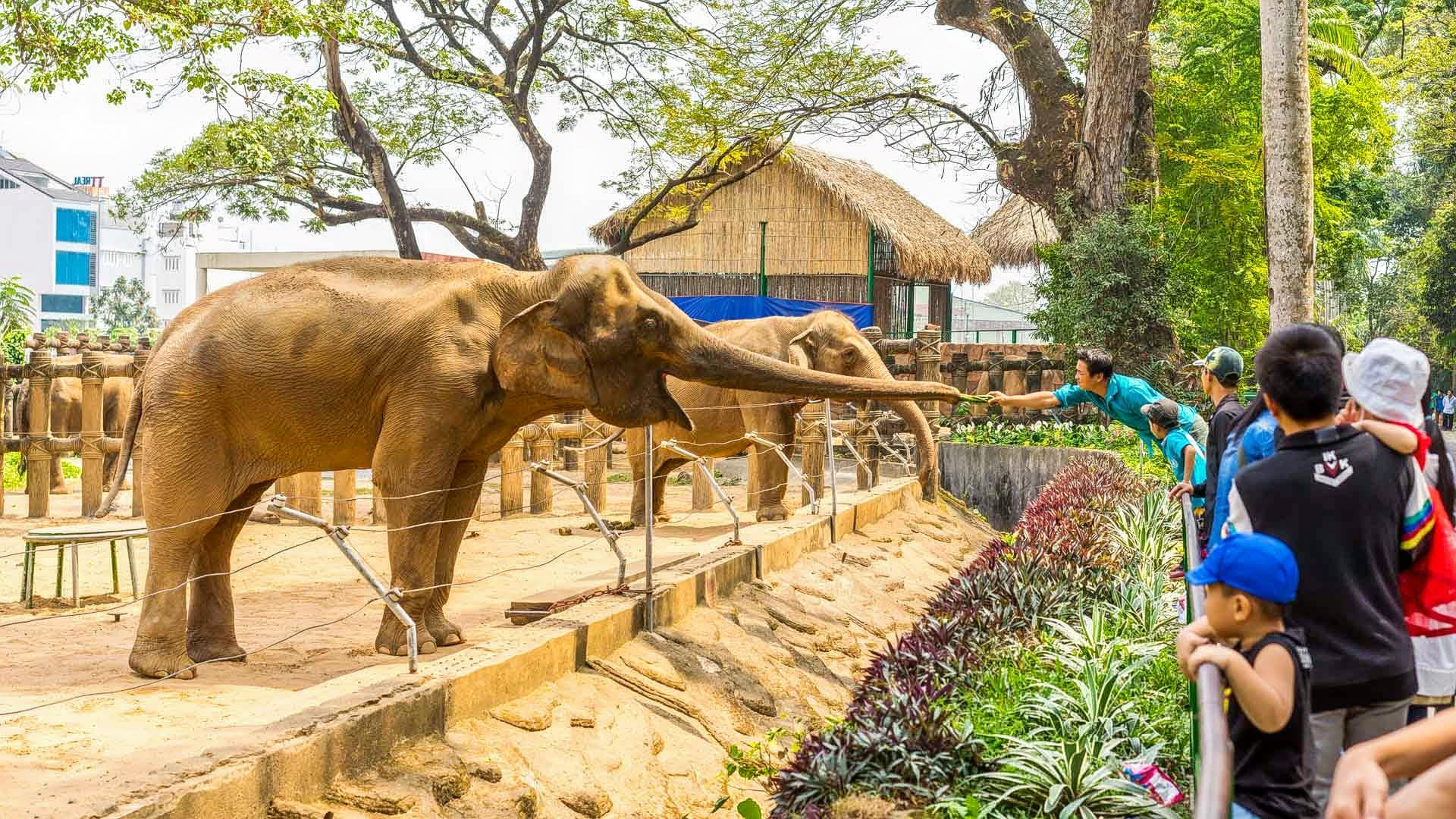Saigon Zoo And Botanical Gardens Overview