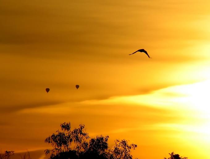 Melbourne Hot Air Balloon