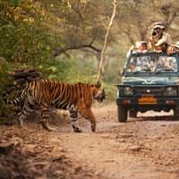 weekend-getaway-to-ranthambore