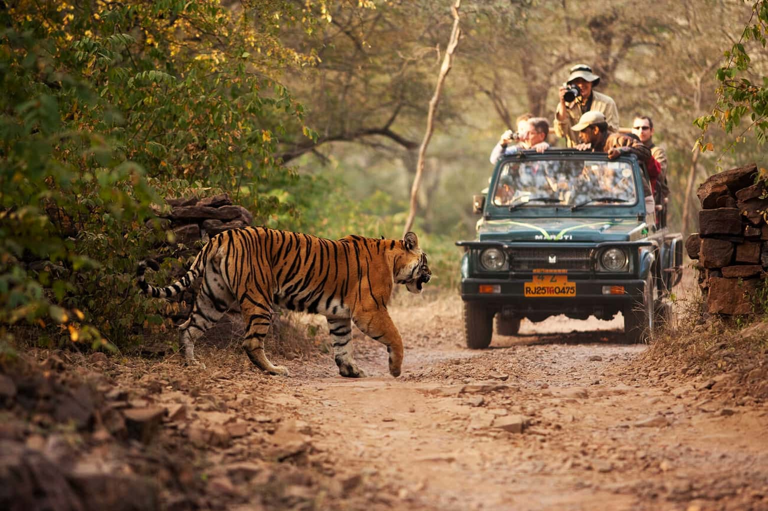 Weekend Getaway to Ranthambore