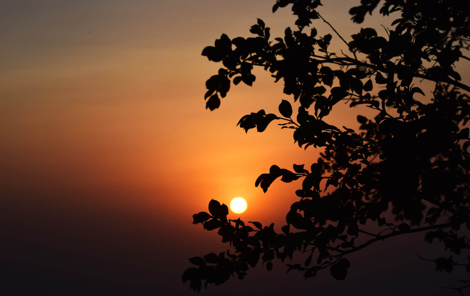 Sunset Point