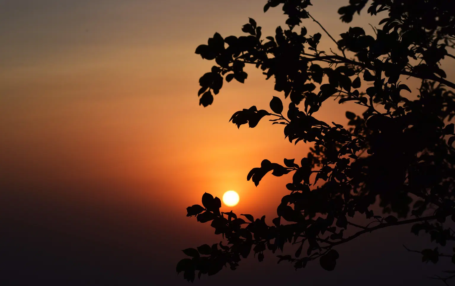 Sunset Point