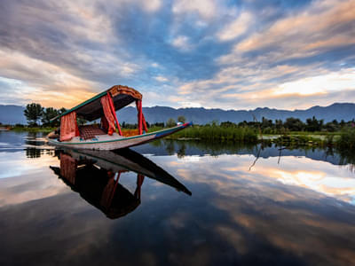 Best of Kashmir | FREE Shikara Ride Day 3