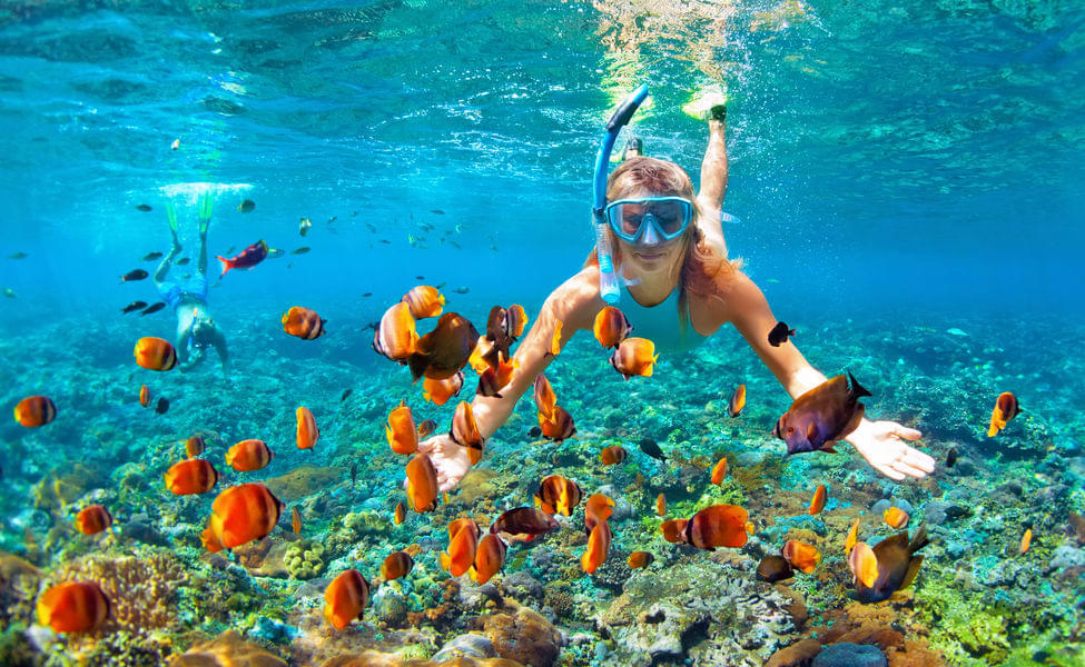 Snorkel in shallow waters