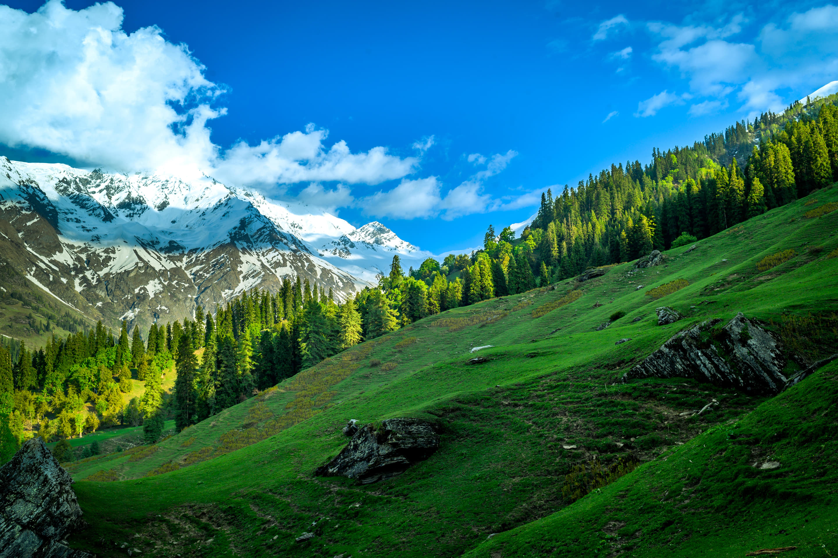 Group Weekend Getaways In Himachal