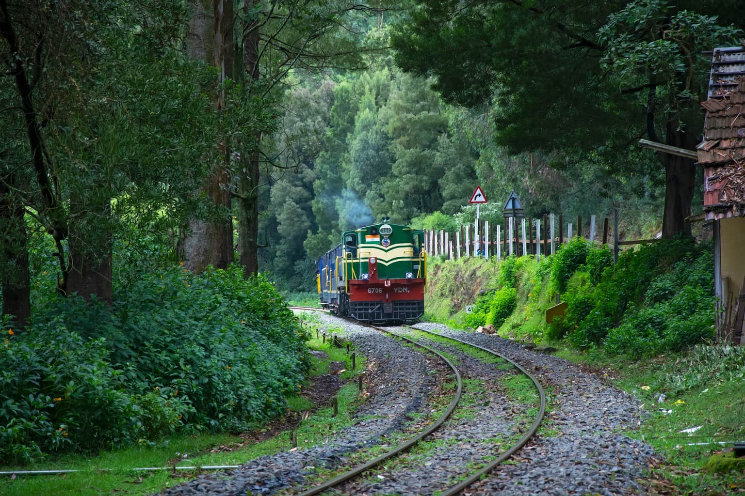  Best Ooty Tour Packages for Family