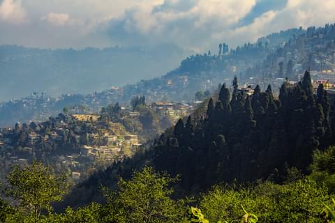 Activity & SightSeeing Image