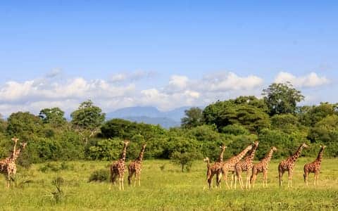 Things to do in <em>Meru</em>
