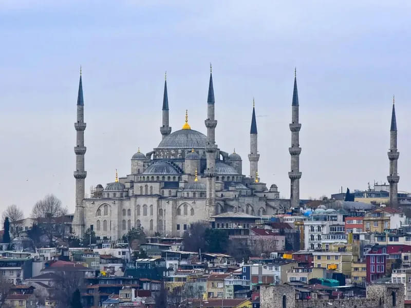 Istanbul Day Tour with Hagia Sophia, Topkapi Palace, & Cruise