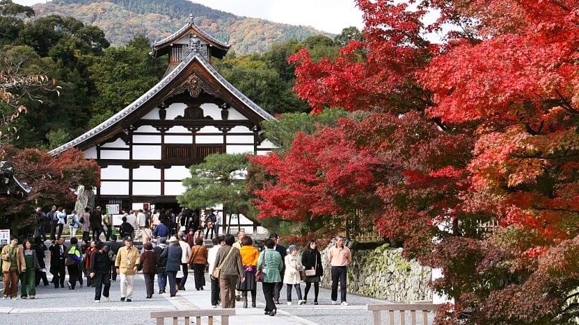 Visit the Tenryuji temple