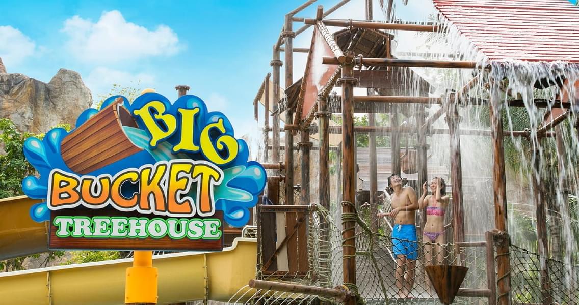 Big Bucket Treehouse at Adventure Cove Waterpark 