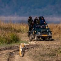 jim-corbett-tour-package-from-delhi