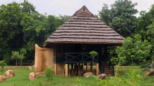 Whkff8suipn8exrrbme9sr1ei9jh 23df56e2be3911e88e070224510f5e5b