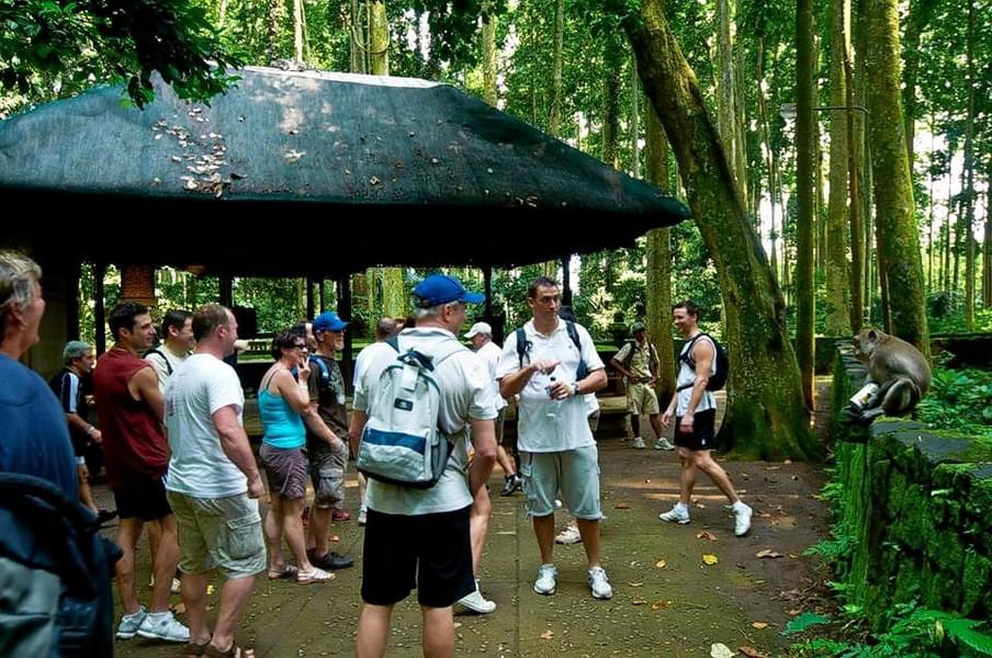 Rain Forest Trekking at Bedugul in Bali Image