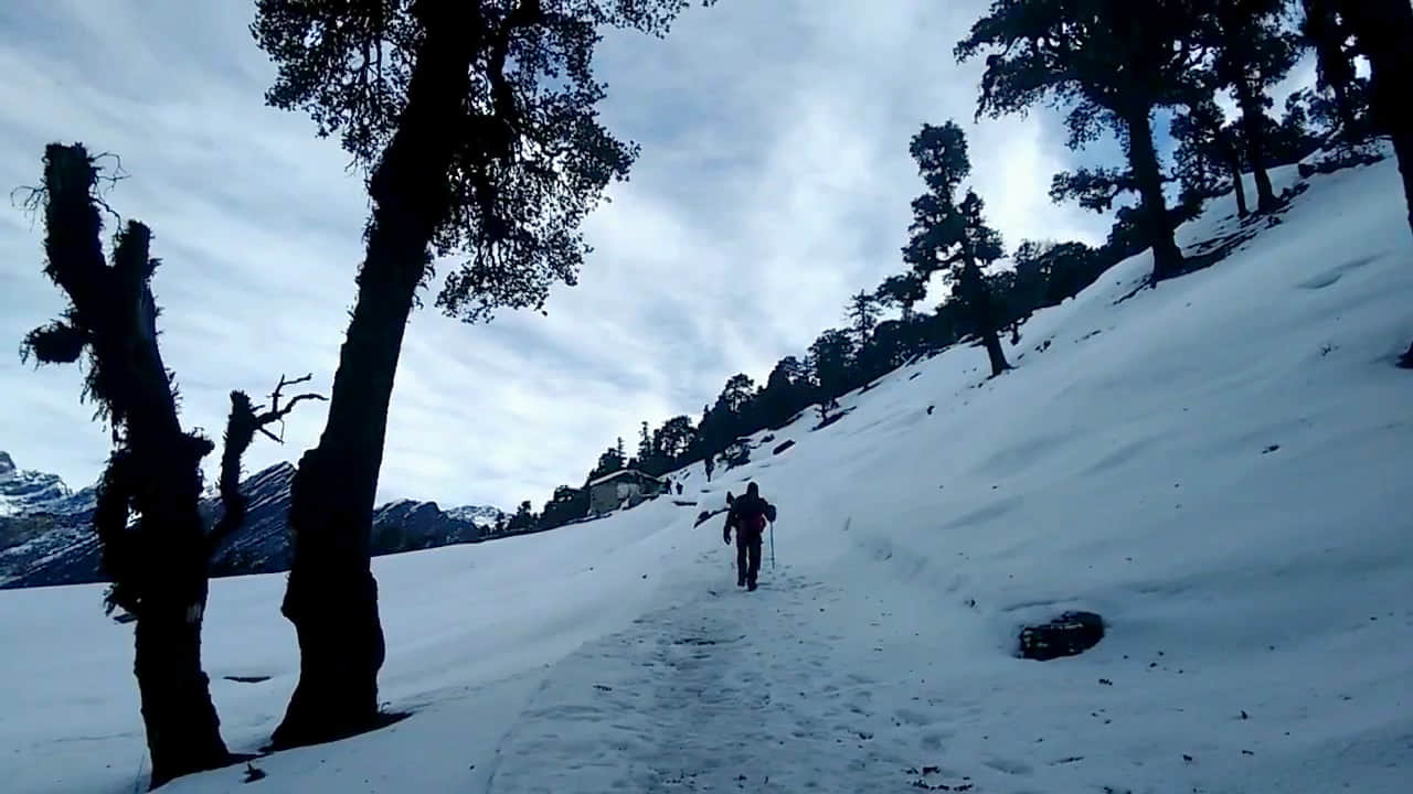 Photo from Nalini Sharma's trip