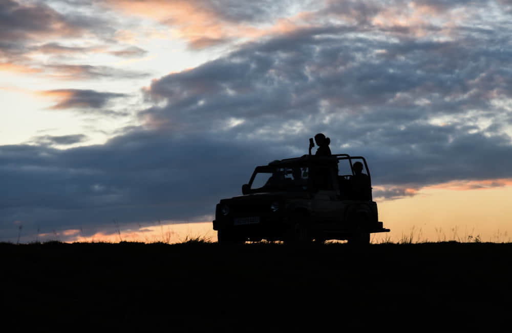 Book a jeep safari at Changthang Wildlife Sanctuary