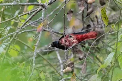 Indulge in Birdwatching & Flora Spotting