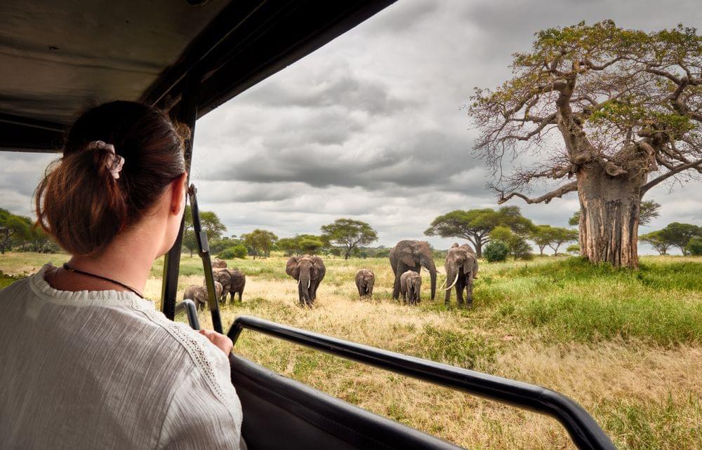 8 Days Kenya & Tanzania Safari