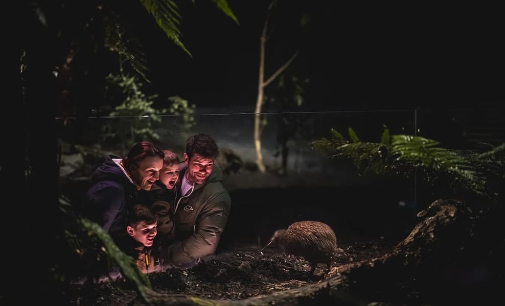 Kiwi Park Queenstown Tickets, New Zealand Image