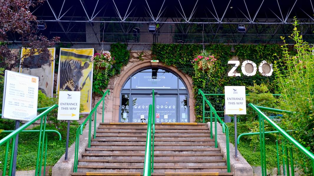 Be enchanted by the charm of Edinburgh Zoo, where incredible animals and unforgettable moments await