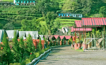 Enjoying the thrilling river-side camping experience in Rishikesh