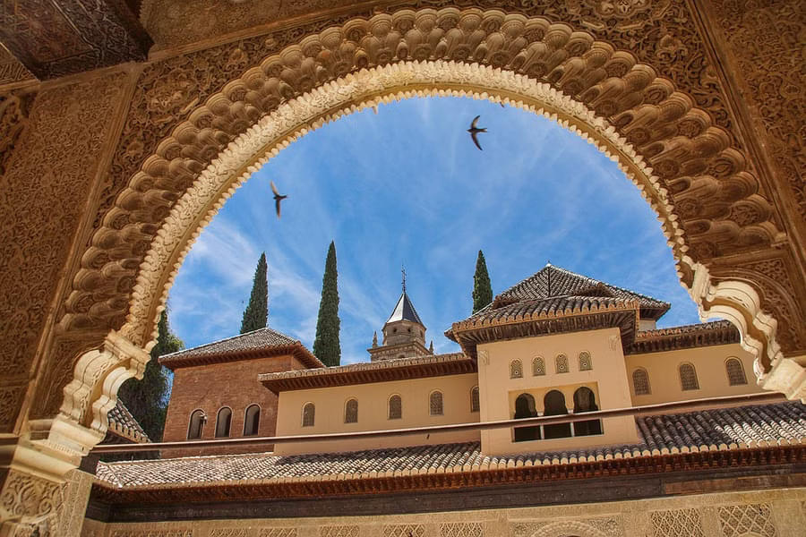 Alhambra Guided Tour with Entry to Nasrid Palaces Image