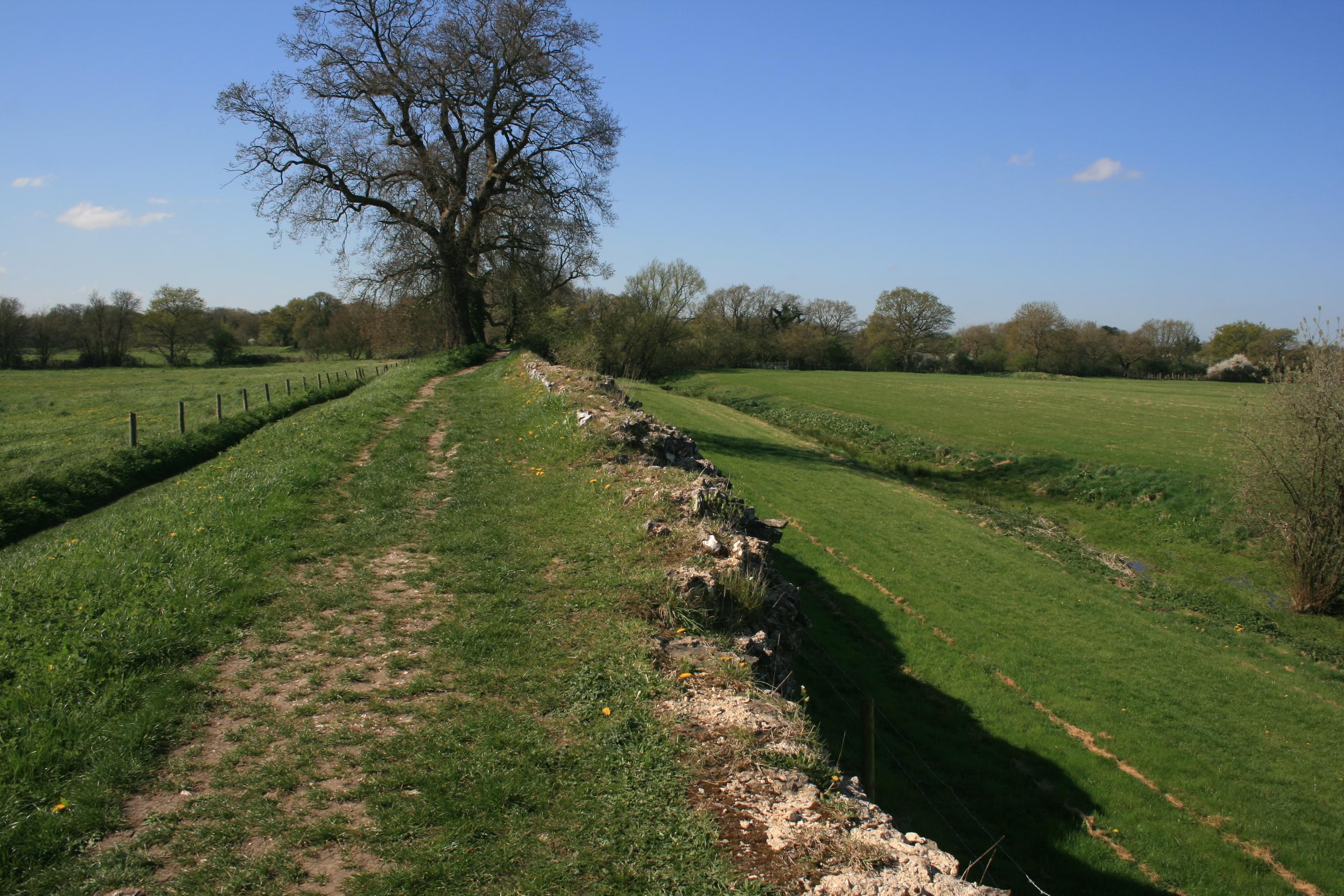 Silchester Overview