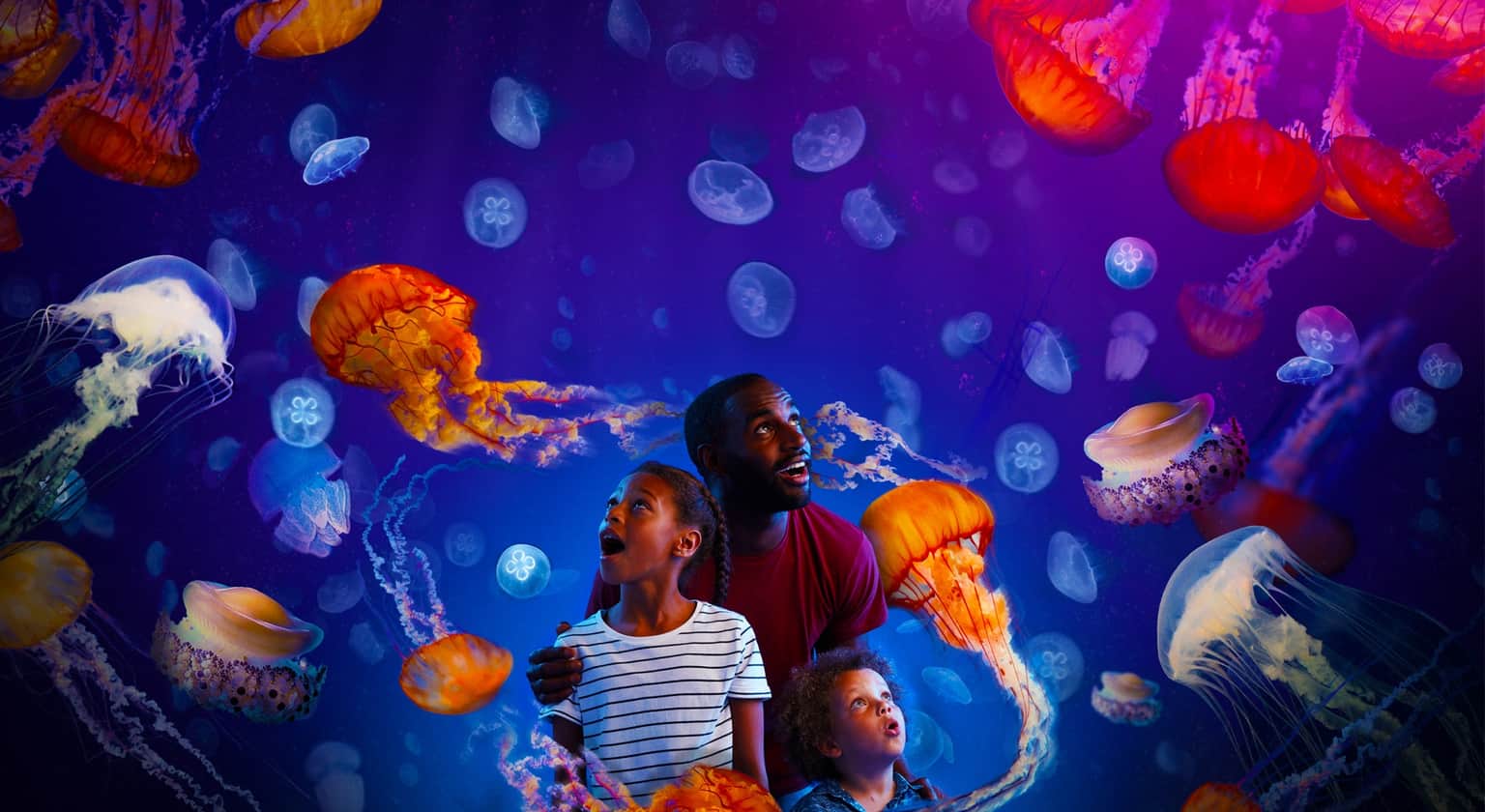SEA LIFE Blackpool, <em>England</em>